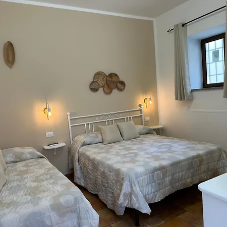 B&B Diana Brown 3*